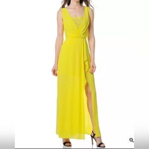 BCBCMaxazria Koko lace gown